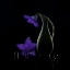 Picture of SUMMER NIGHT