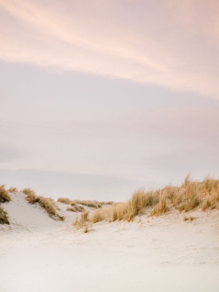 Picture of AMELAND DUNES 3