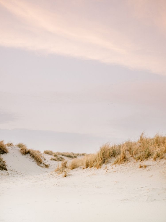 Picture of AMELAND DUNES 3