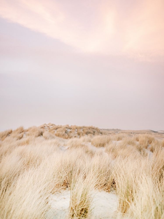 Picture of AMELAND DUNES 2