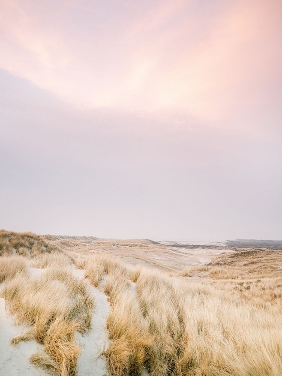 Picture of AMELAND DUNES 1