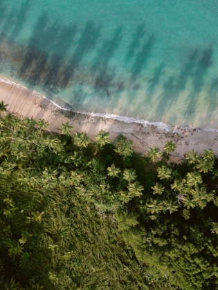 Picture of PALM BEACH FROM ABOVE