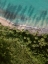 Picture of PALM BEACH FROM ABOVE