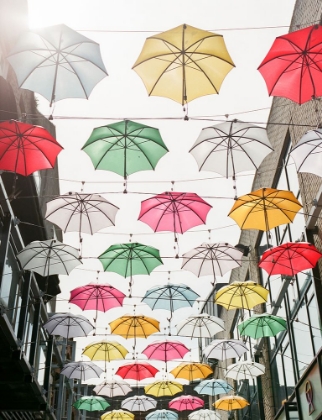 Picture of UMBRELLAS