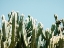 Picture of SOUTH OF SPAIN