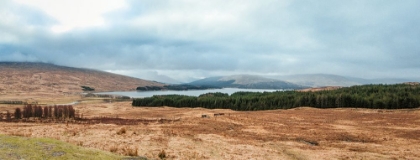 Picture of PANORAMIC VIEW OF THE SCOTTISH HIGHLANDS
