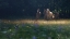 Picture of THEIR GARDEN