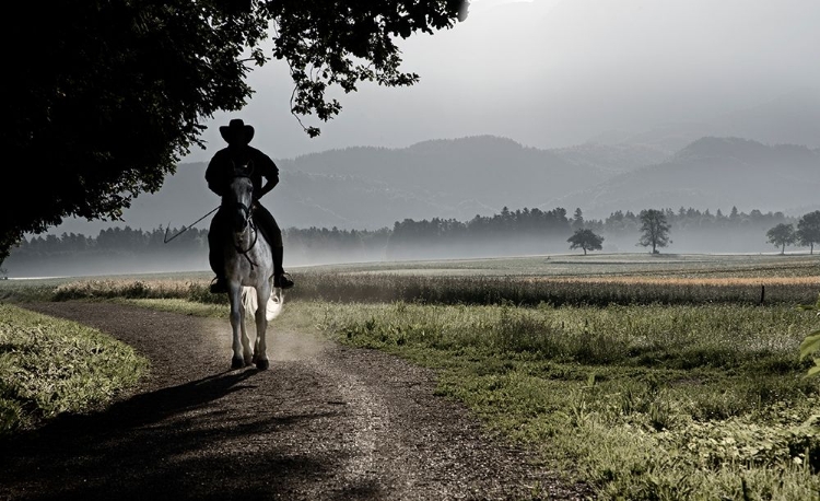 Picture of MYSTERIOUS HORSEMAN