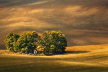 Picture of MORAVIAN FIELDS...
