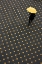 Picture of UNTITLED