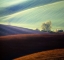 Picture of FIELDS...