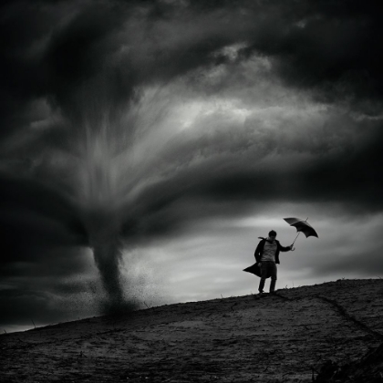 Picture of MAN IN THE WIND