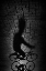 Picture of SHADOW BIKE...