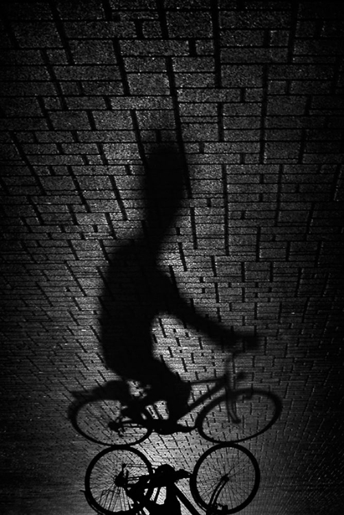 Picture of SHADOW BIKE...