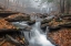 Picture of MORNING FOG