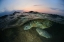 Picture of UNDER THE WAVE