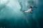 Picture of PLUNGE DIVER