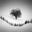 Picture of TRAPPED