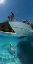 Picture of ON THE BOAT AND UNDER