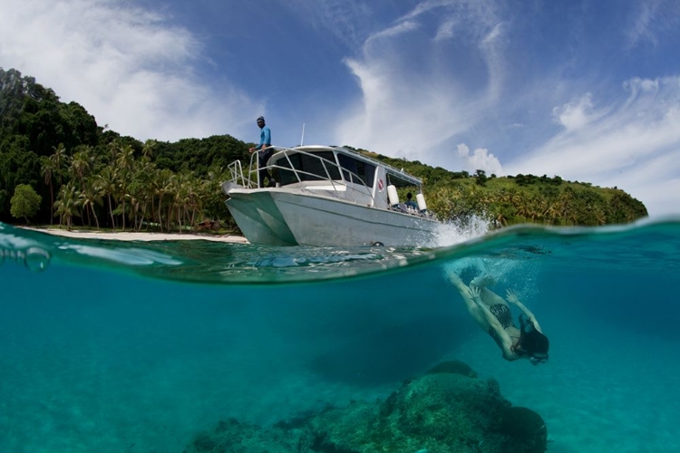 Picture of DIVE TO FIJI