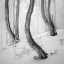 Picture of FROZEN FOREST