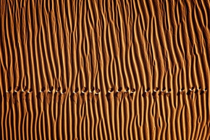 Picture of FOOTPRINT3