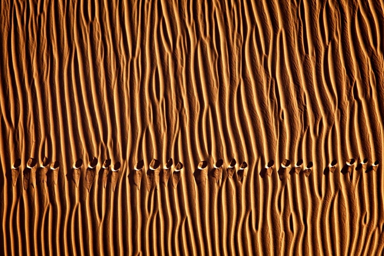 Picture of FOOTPRINT3