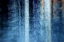 Picture of THE FOREST