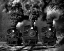 Picture of TRAIN RACE IN BW
