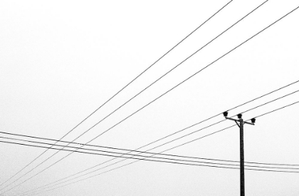 Picture of POWER LINES, WILTSHIRE