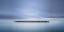 Picture of LONELY IN A SEA OF DREAMS
