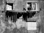 Picture of UNDERWARE BARCODE II