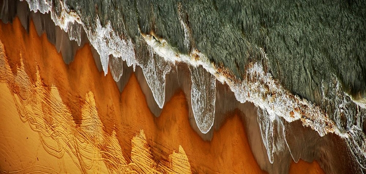 Picture of THE EAST CHINA SEA SHORE