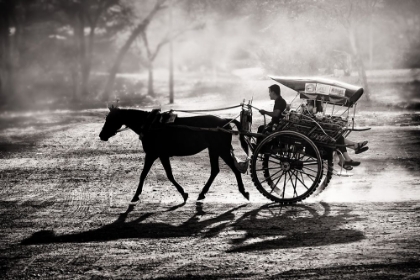 Picture of DUSTY HORSE RIDE