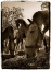 Picture of UNTITLED
