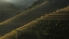 Picture of LANDING FIELDS AT SUNRISE BEAUTIFUL GOLDEN LIGHT SHINES.