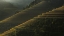 Picture of LANDING FIELDS AT SUNRISE BEAUTIFUL GOLDEN LIGHT SHINES.