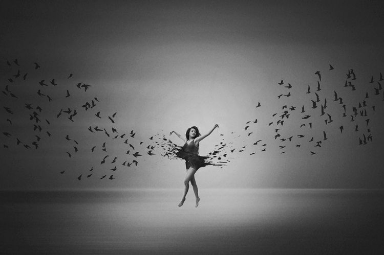 Picture of BALLERINA FLIGHT OF BIRDS
