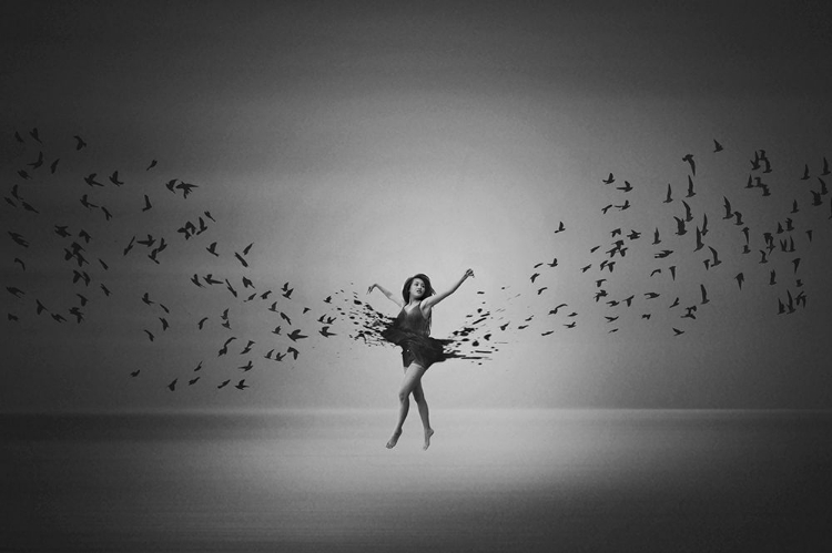 Picture of BALLERINA FLIGHT OF BIRDS