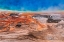 Picture of BISON