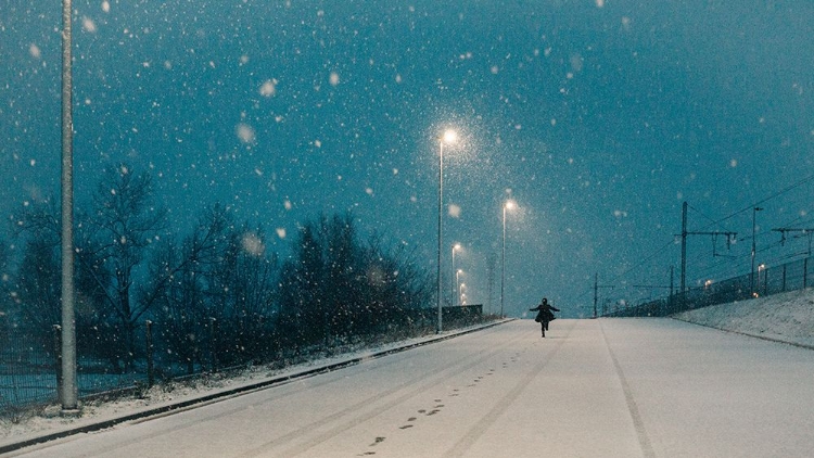 Picture of FIRST SNOW JOY