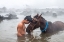 Picture of COMPASSIONAFRIENDSHIP