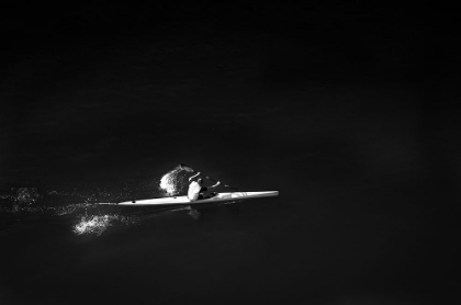 Picture of A SPEEDWAY ON BLACK