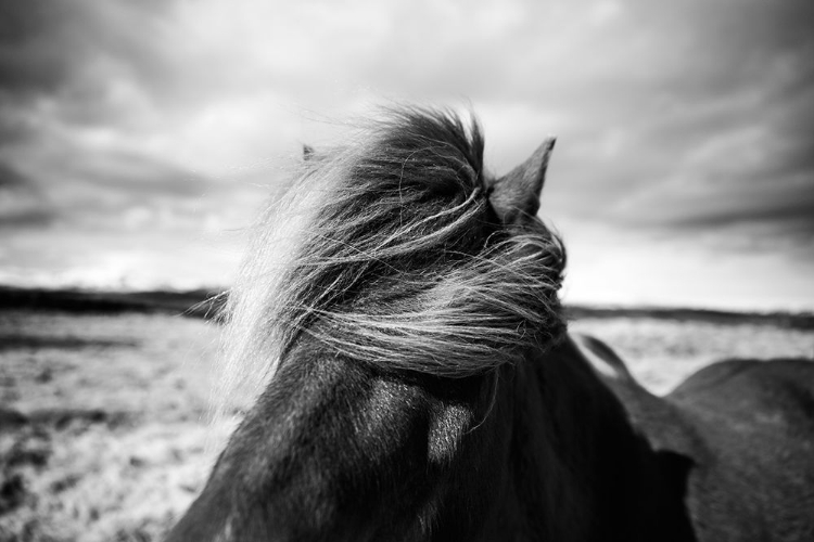 Picture of ICELAND