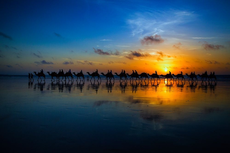 Picture of SUNSET CAMEL RIDE