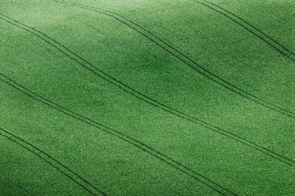Picture of FIELD #6