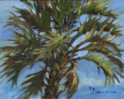 Picture of IMPRESSIONS OF PALMS - SOLO PALM
