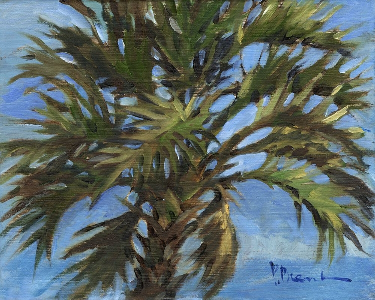 Picture of IMPRESSIONS OF PALMS - SOLO PALM