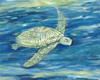 Picture of BLUE LAGOON - GREEN SEA TURTLE