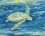 Picture of BLUE LAGOON - GREEN SEA TURTLE